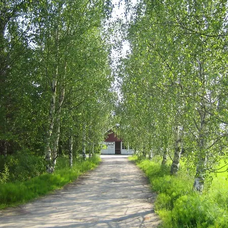 Rauhalan Kievari